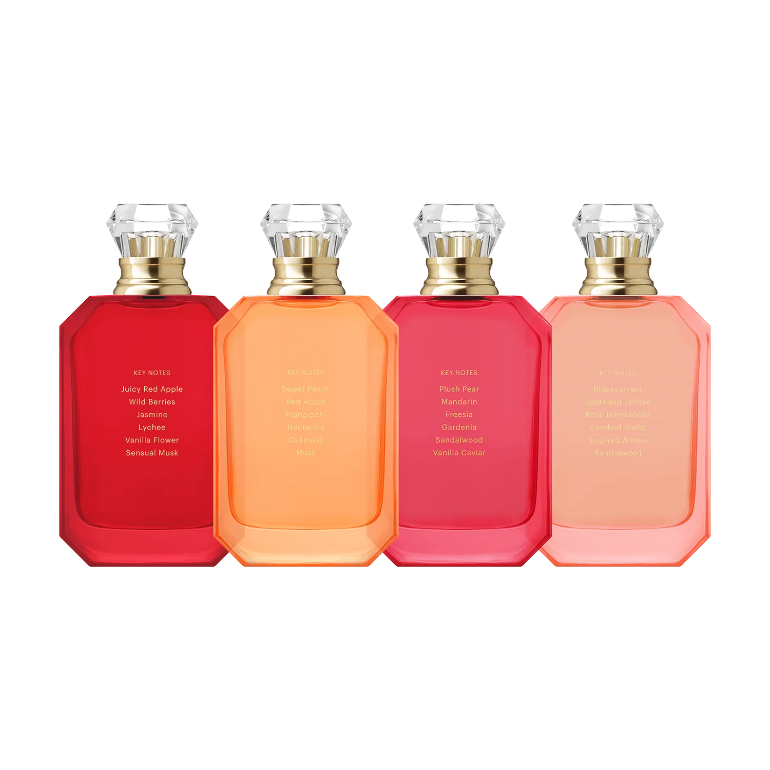 Eden 100ml Wardrobe - Image 5