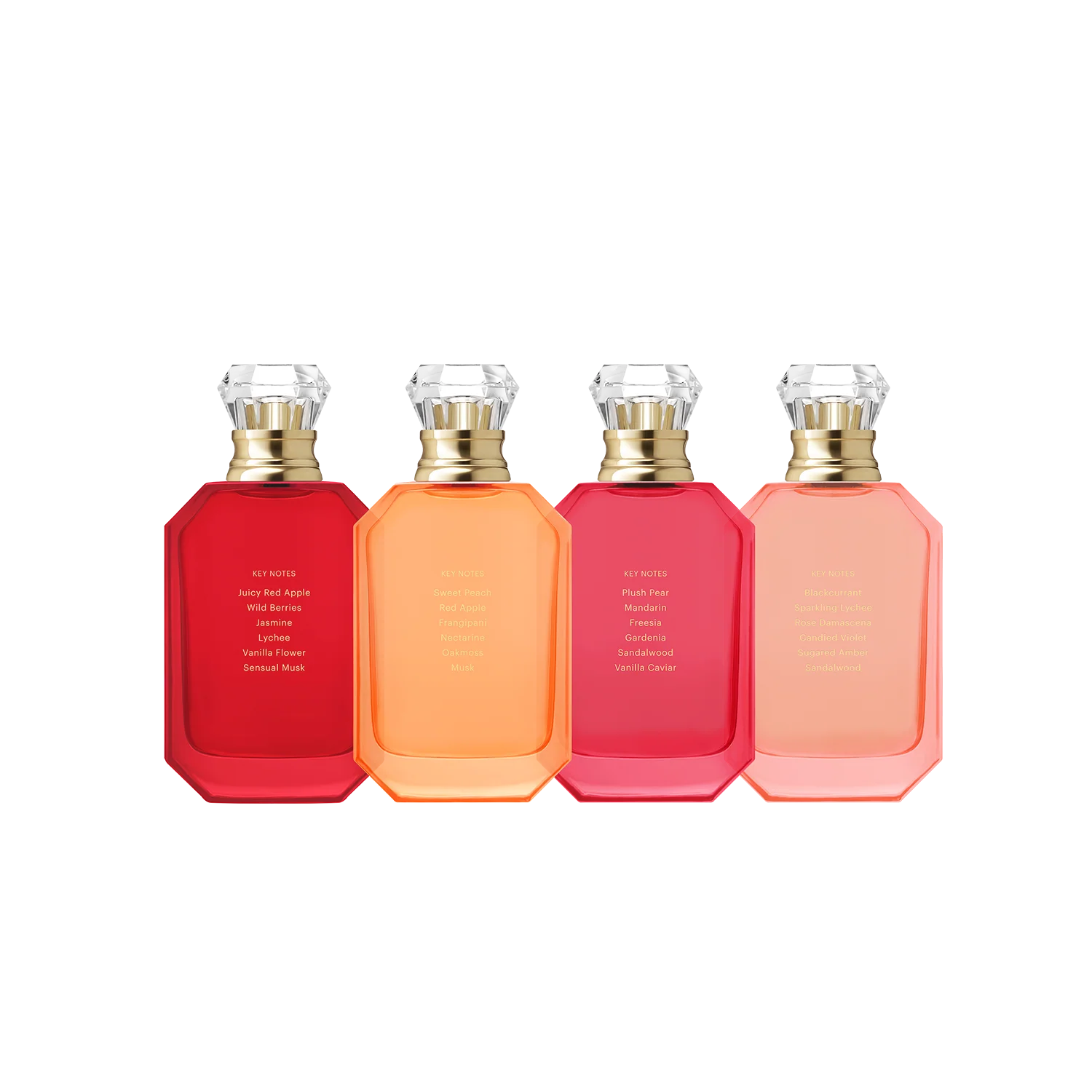 Eden 50ml Wardrobe - Image 5
