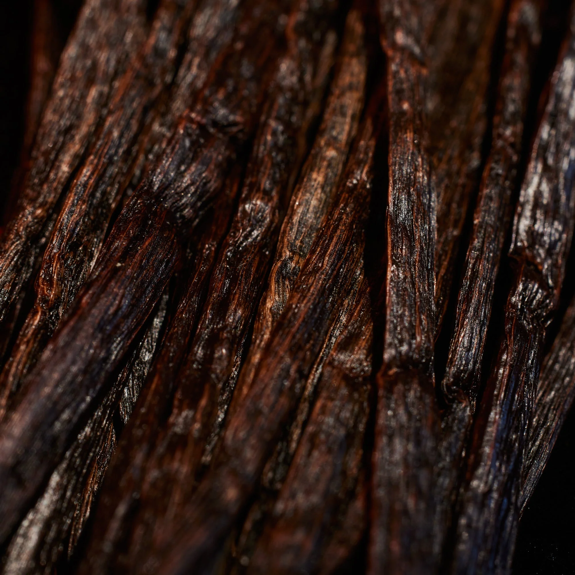 Oudgasm Vanilla Oud | 36 - Image 5