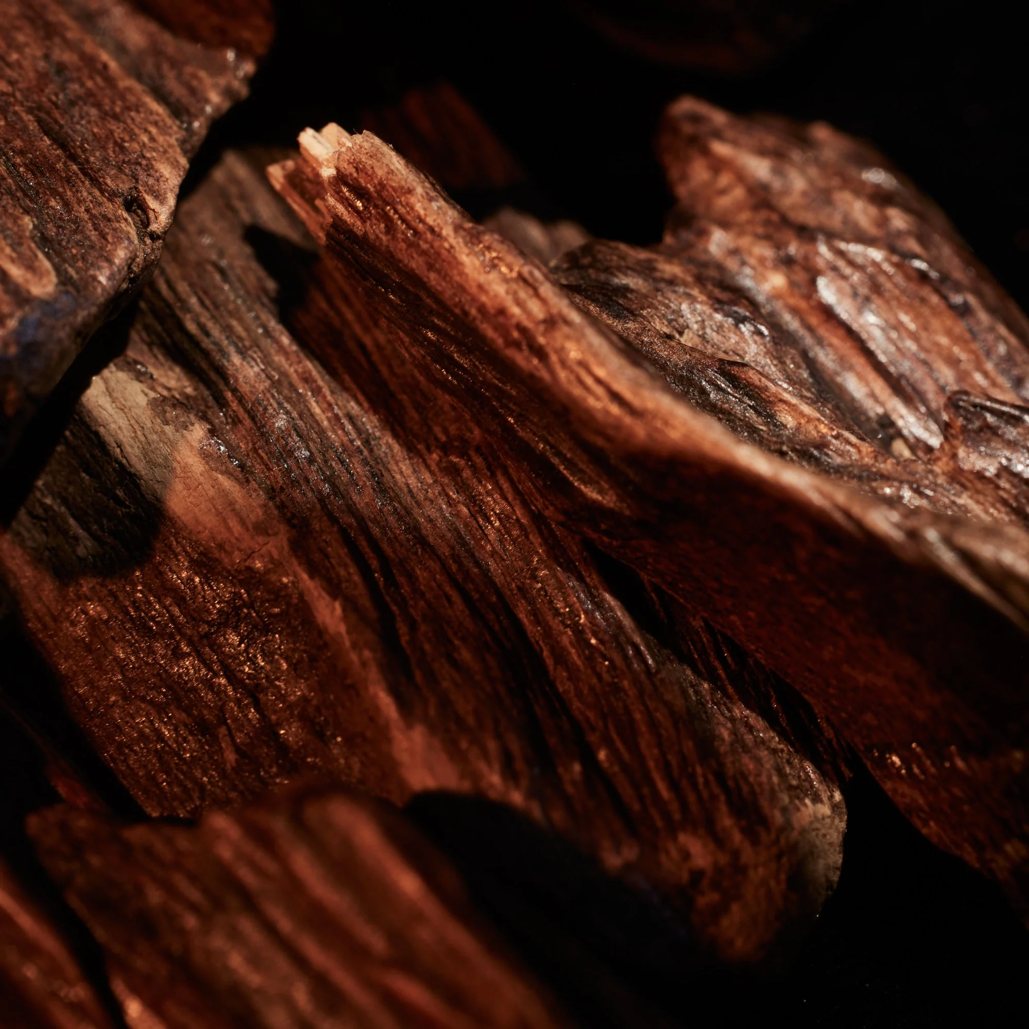 Oudgasm Vanilla Oud | 36 - Image 7