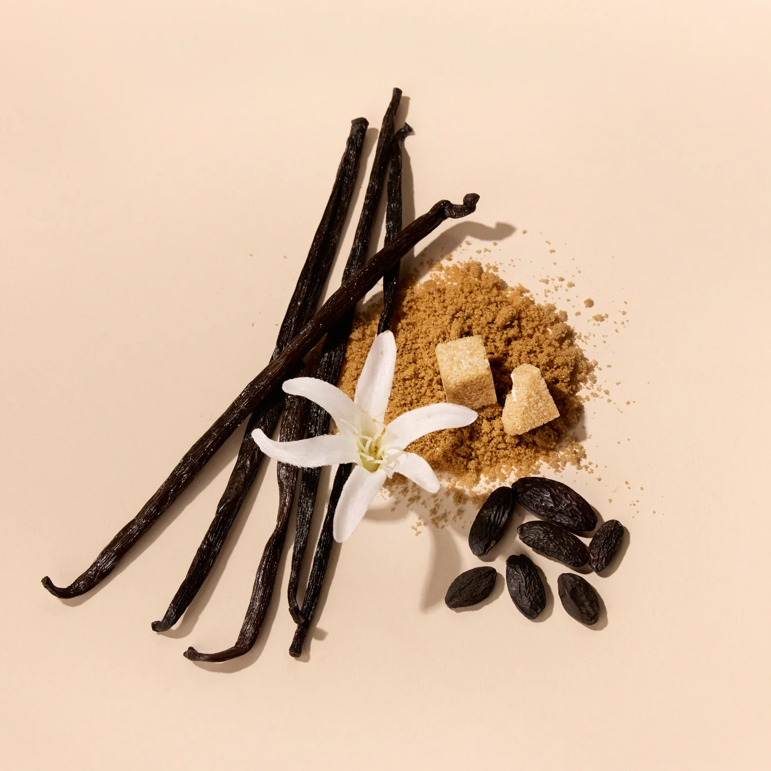 Vanilla | 28 - Image 4